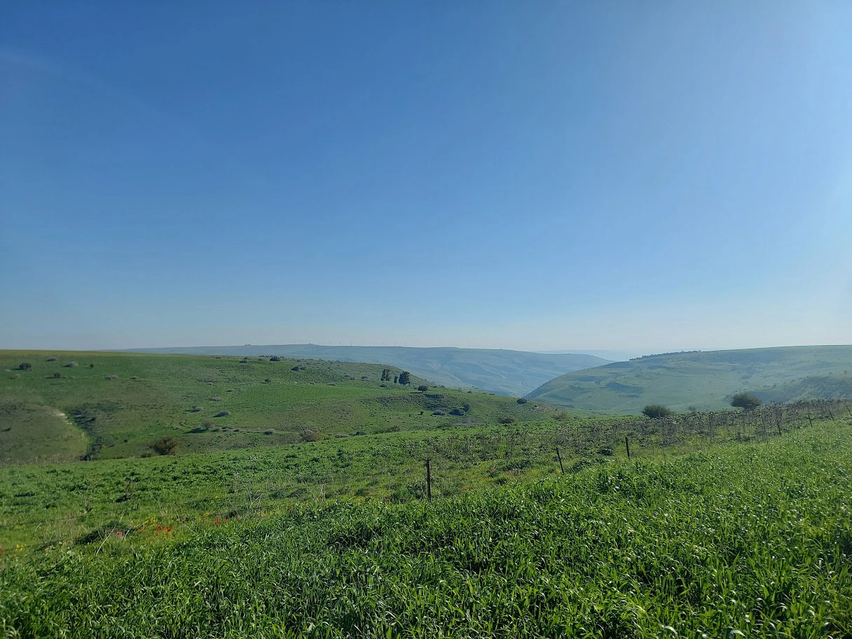 טרק קניון הפרא של נחל תבור טרק קניון הפרא של נחל תבור