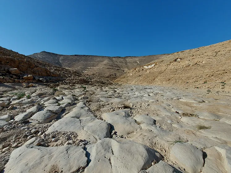 טרק חוצה מדבר יהודה טרק חוצה מדבר יהודה
