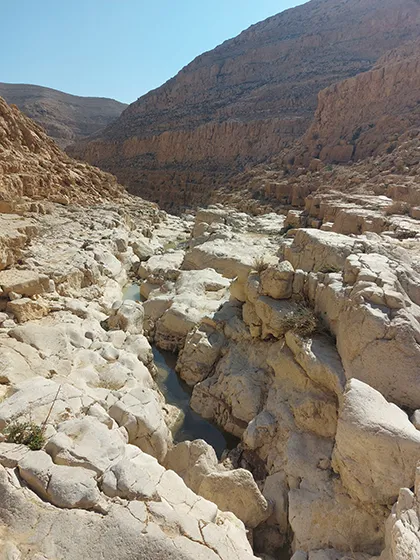 טרק חוצה מדבר יהודה טרק חוצה מדבר יהודה