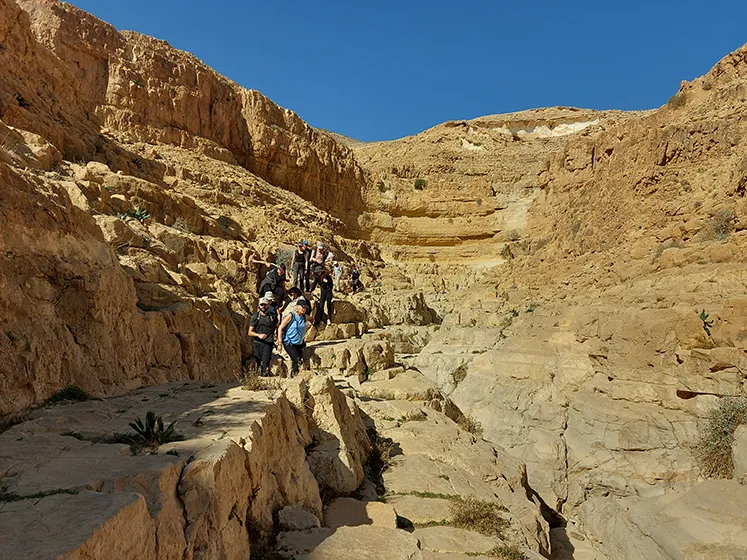 טרק חוצה מדבר יהודה טרק חוצה מדבר יהודה