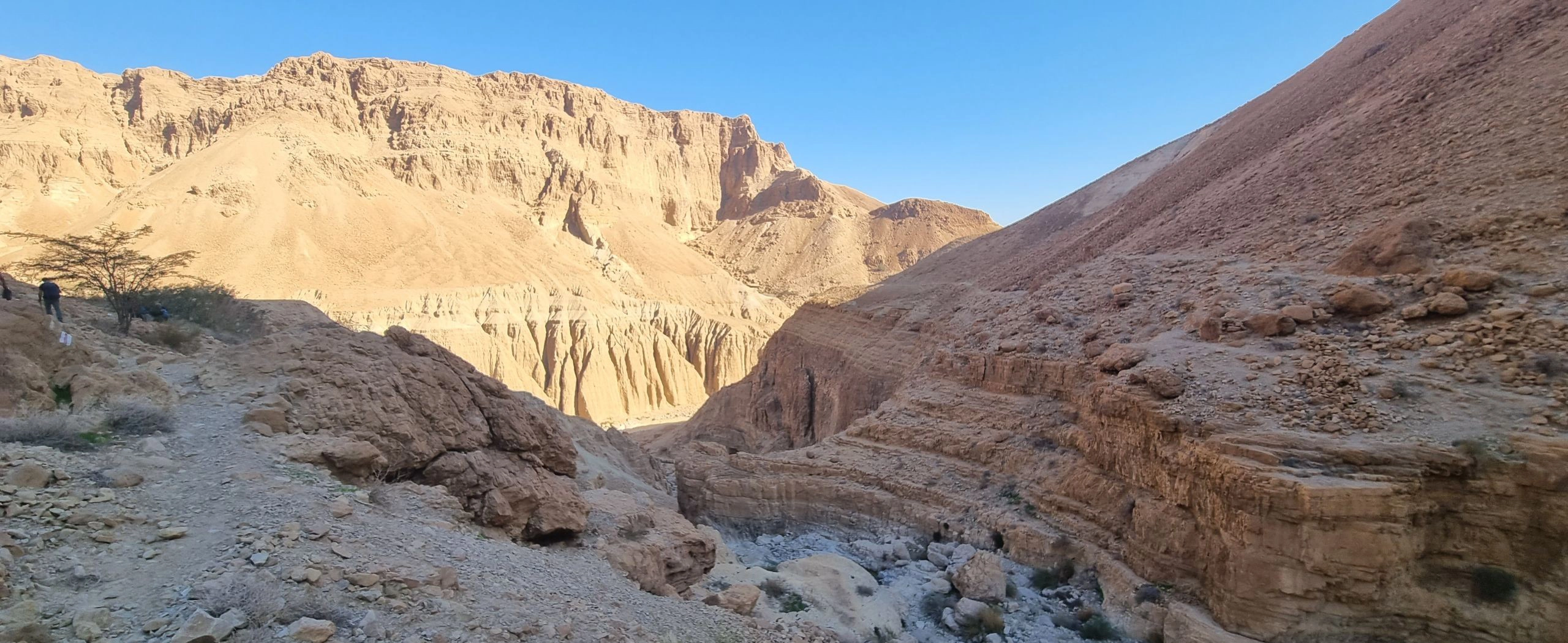 רוח קדים במדבר יהודה רוח קדים במדבר יהודה