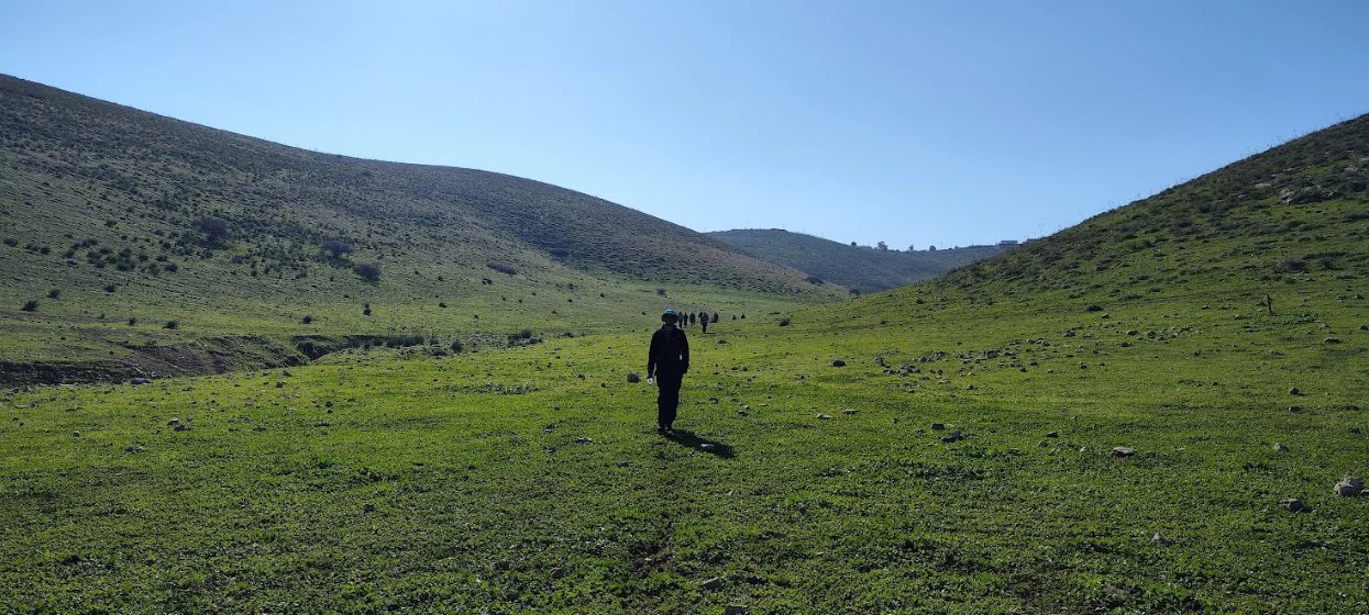 טרק במזרח השומרון- ואדי עוג'ה טרק במזרח השומרון- ואדי עוג'ה