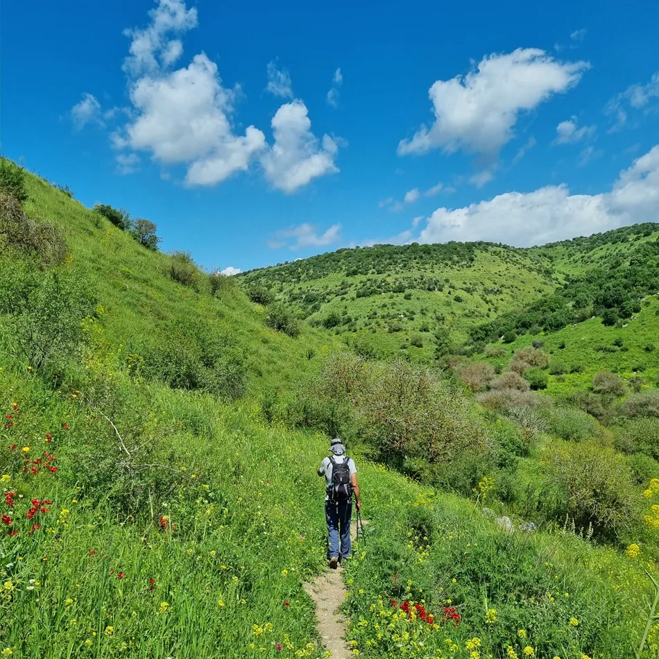 שביל הגולן מעין פיק למצפה יואב שביל הגולן מעין פיק למצפה יואב
