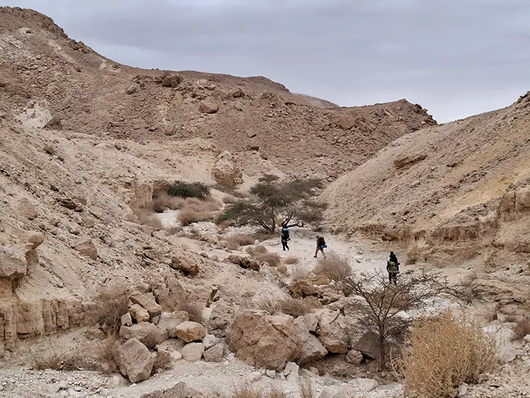 טרק במזרח הנגב - נחל שרף, גב זרחן והר החלק טרק במזרח הנגב - נחל שרף, גב זרחן והר החלק