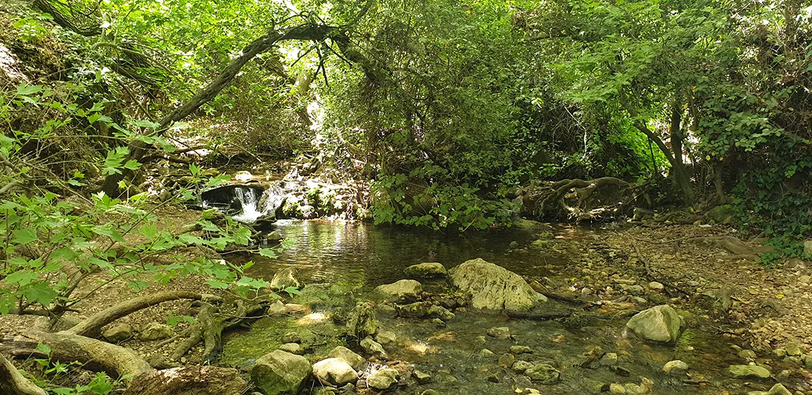 טרק בהר מצפה הימים ונחל עמוד טרק בהר מצפה הימים ונחל עמוד
