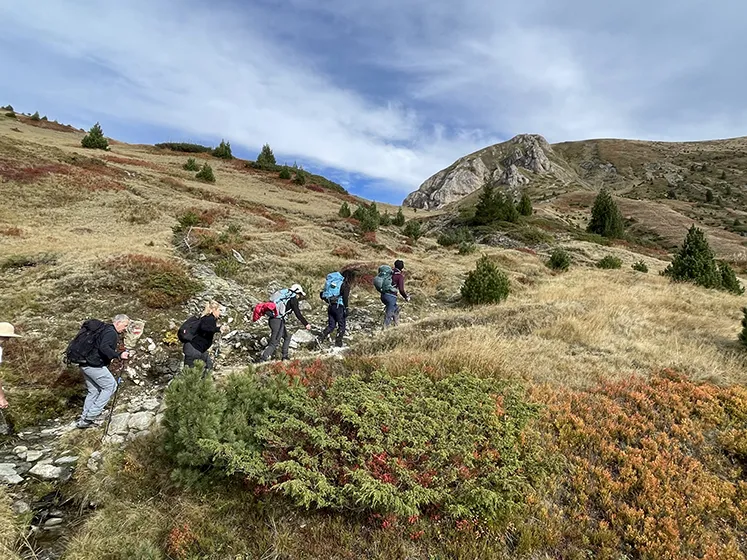 טרק פסגות הבלקן בסתיו - אלבניה, מונטנגרו וקוסובו טרק פסגות הבלקן בסתיו - אלבניה, מונטנגרו וקוסובו