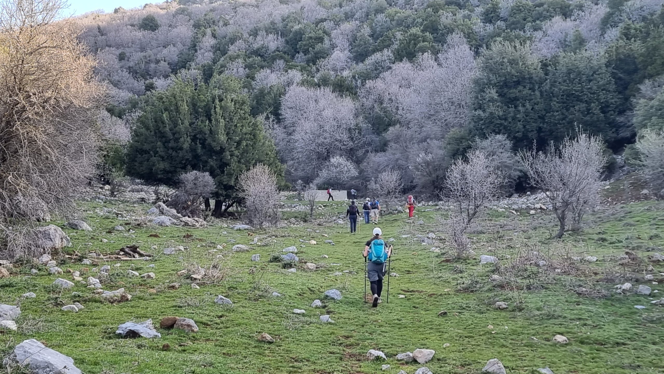 טרק למרומי החרמון טרק למרומי החרמון