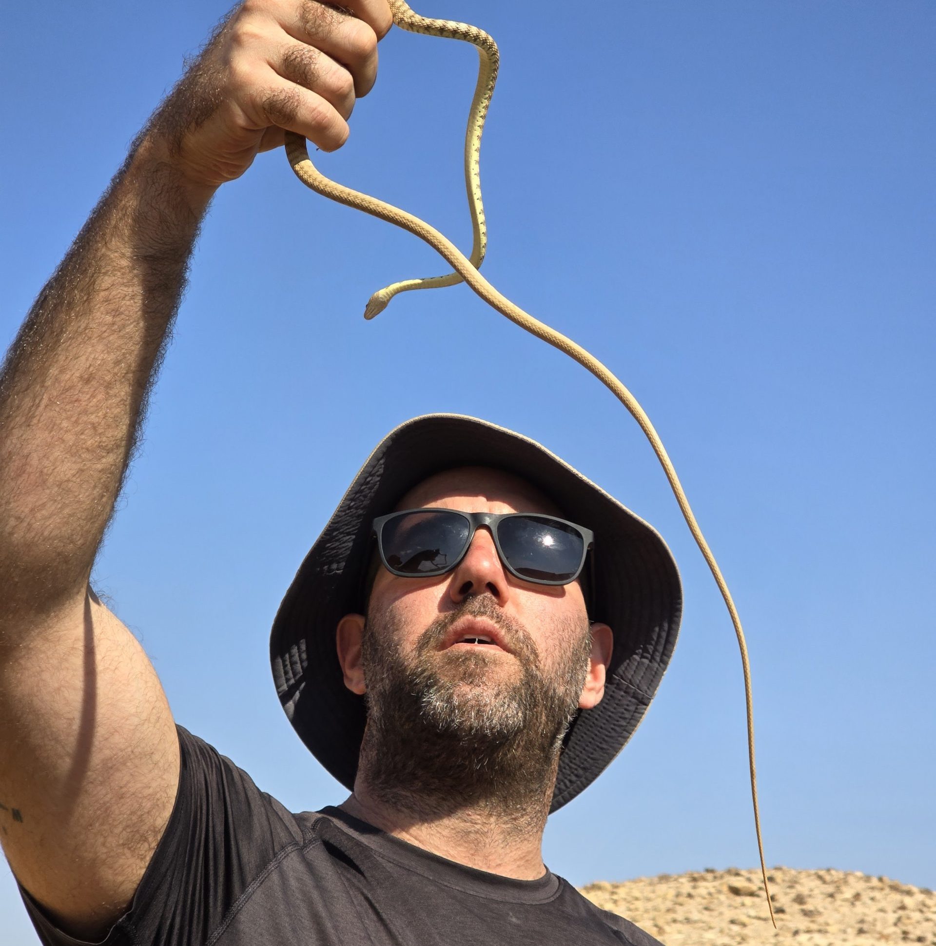 טרק חוצה מדבר יהודה טרק חוצה מדבר יהודה